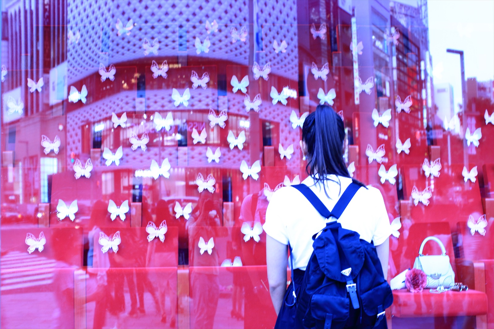 入賞写真"