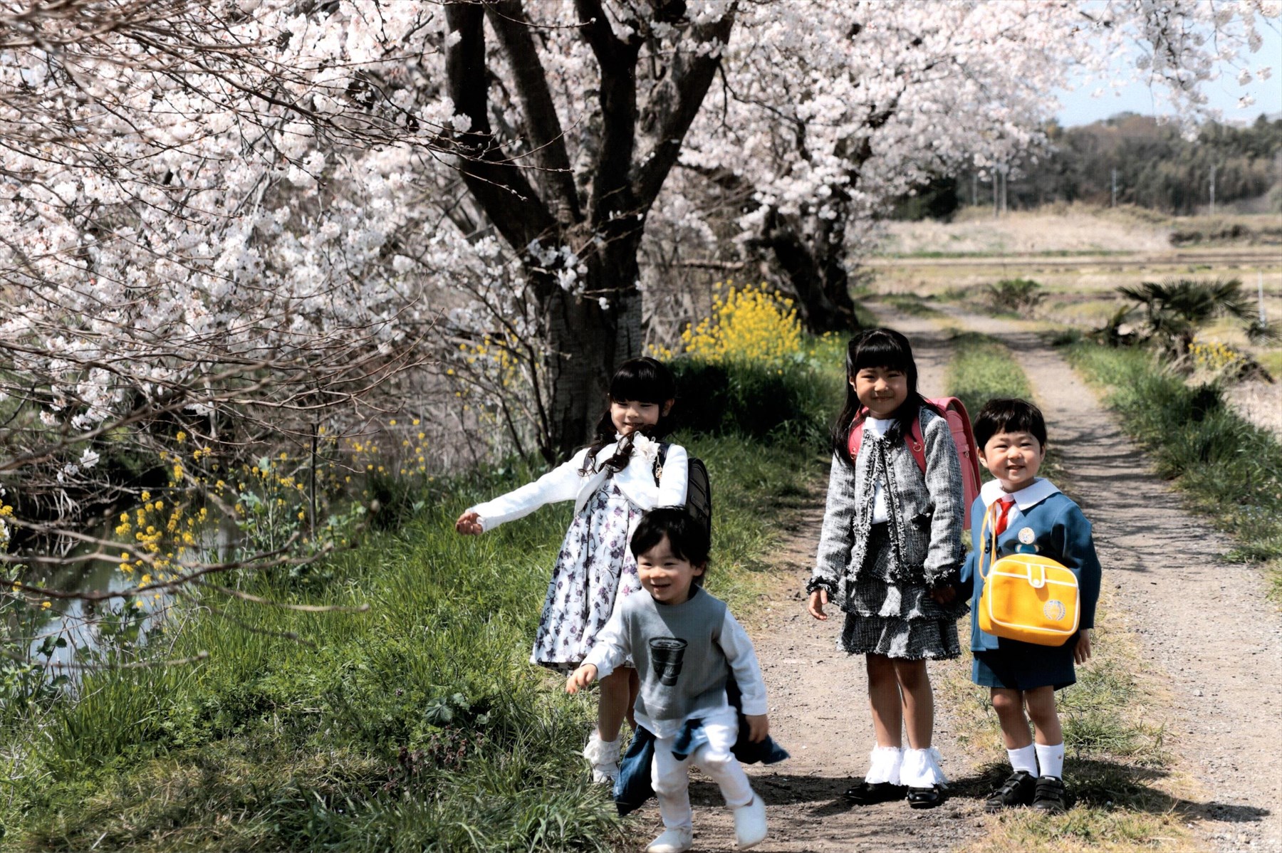 入賞写真