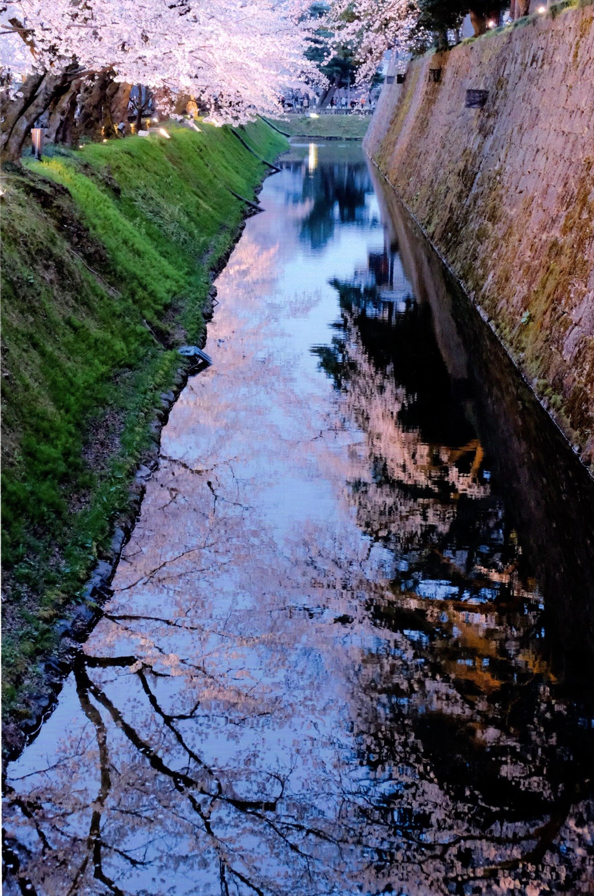 入賞写真