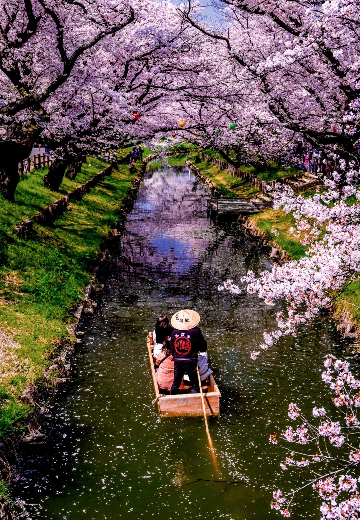 入賞写真