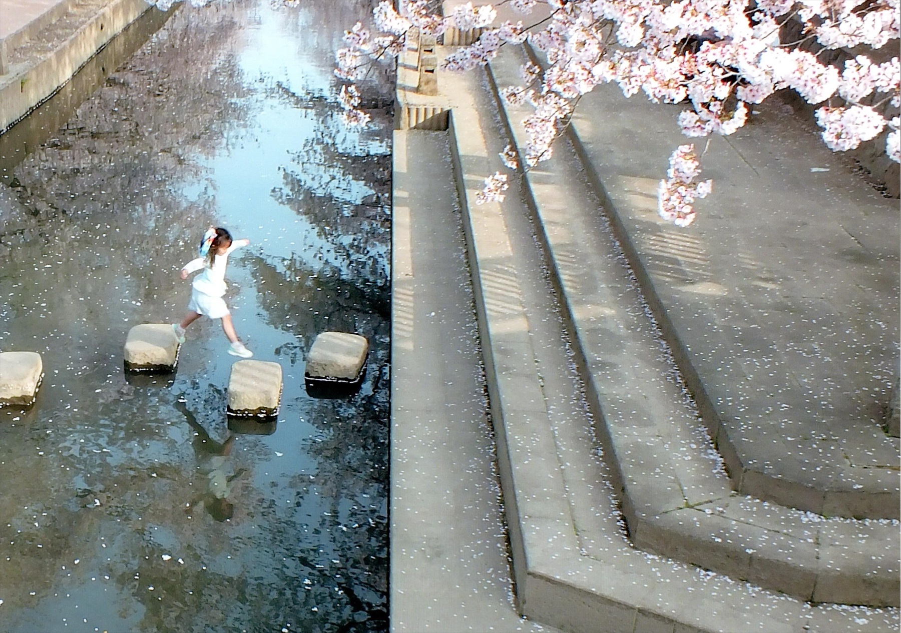 入賞写真