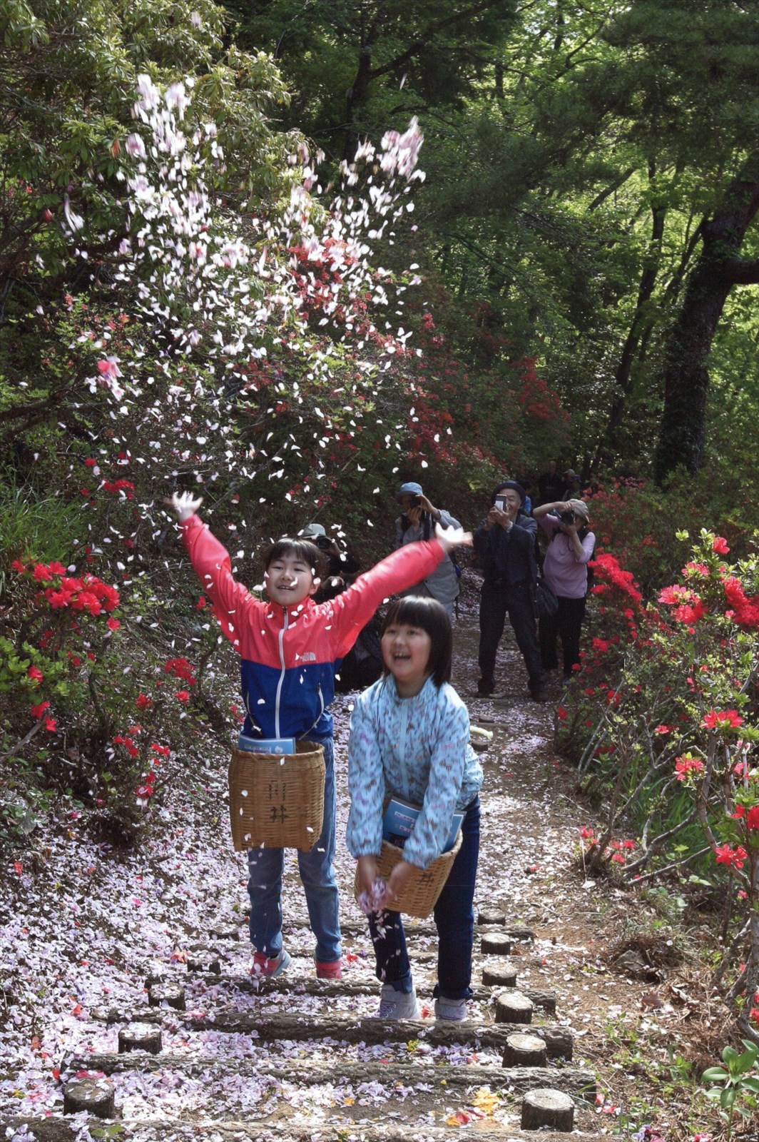 入賞写真