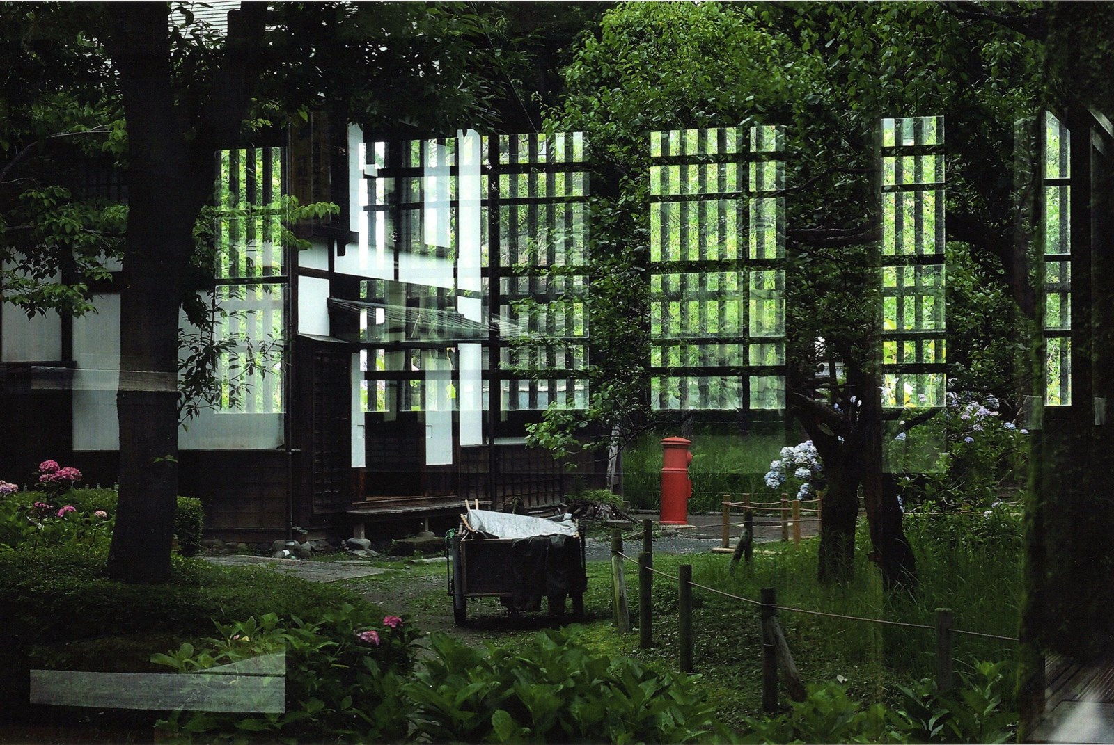 入賞写真