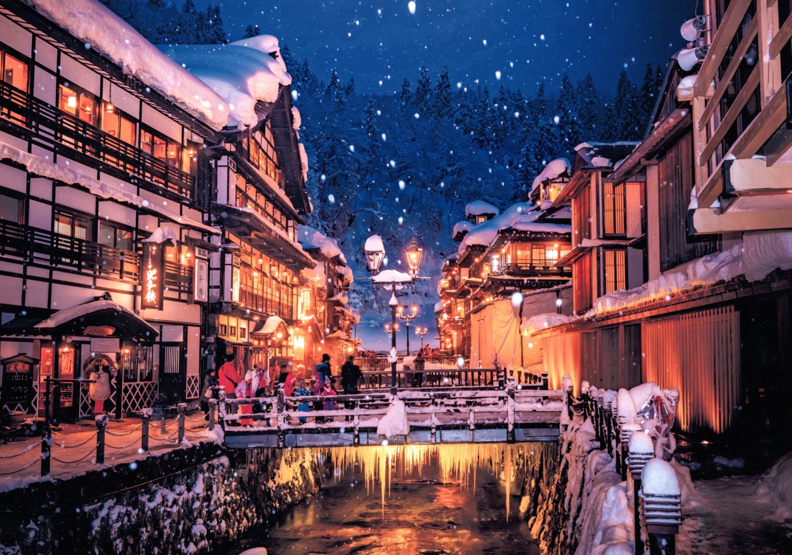 入賞写真