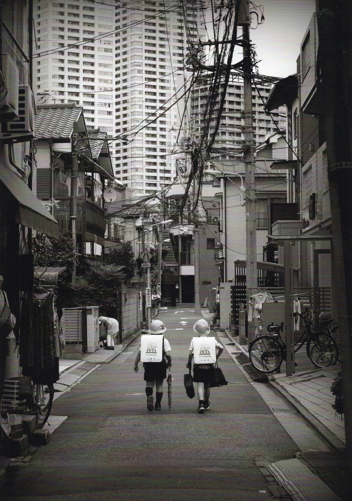 入賞写真