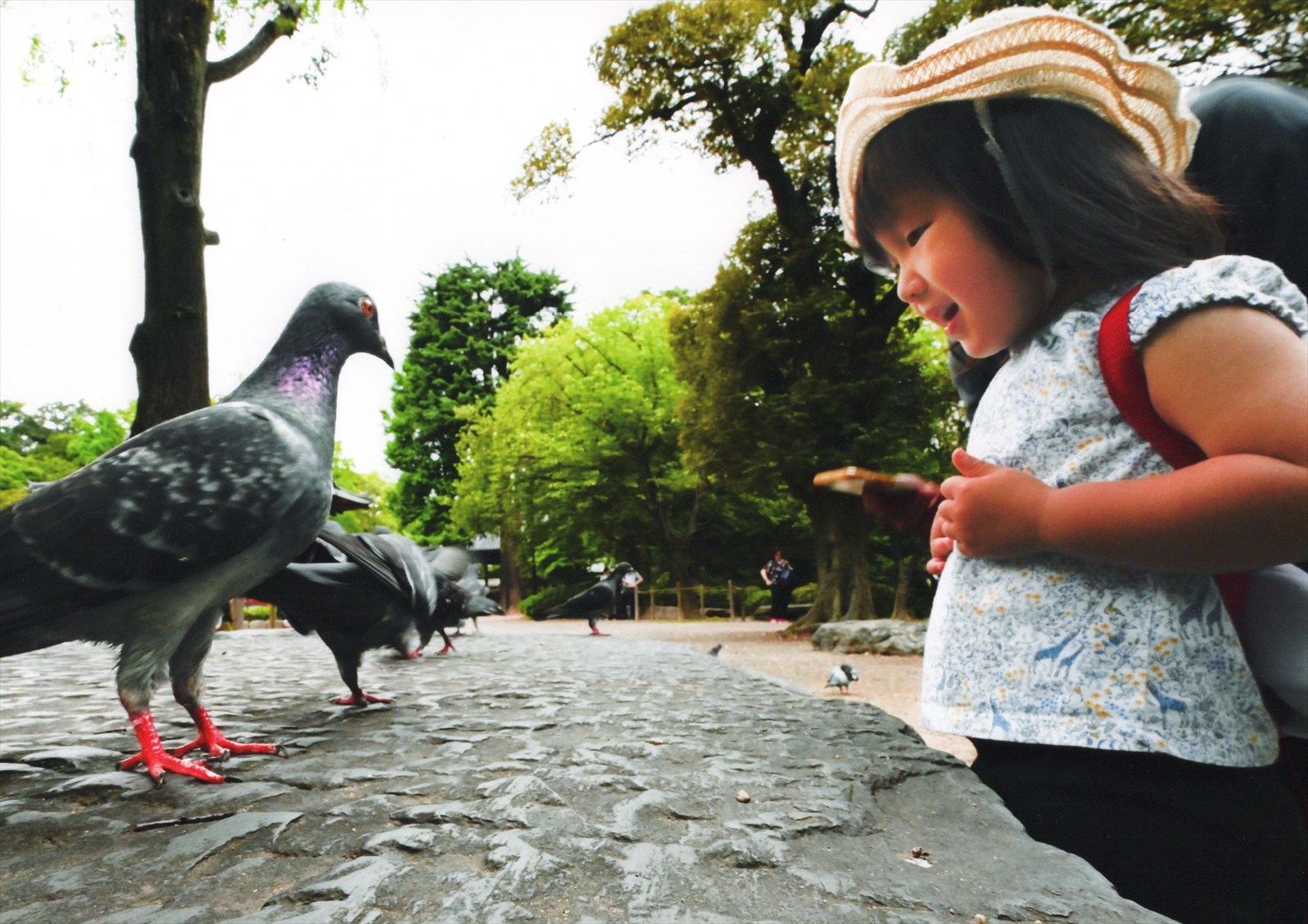 入賞写真