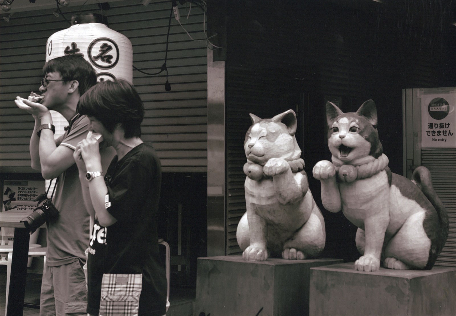 入賞写真