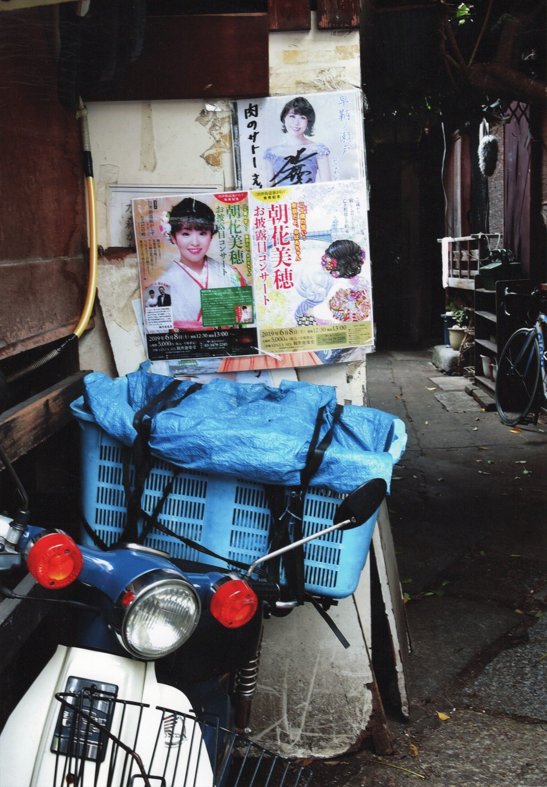 入賞写真