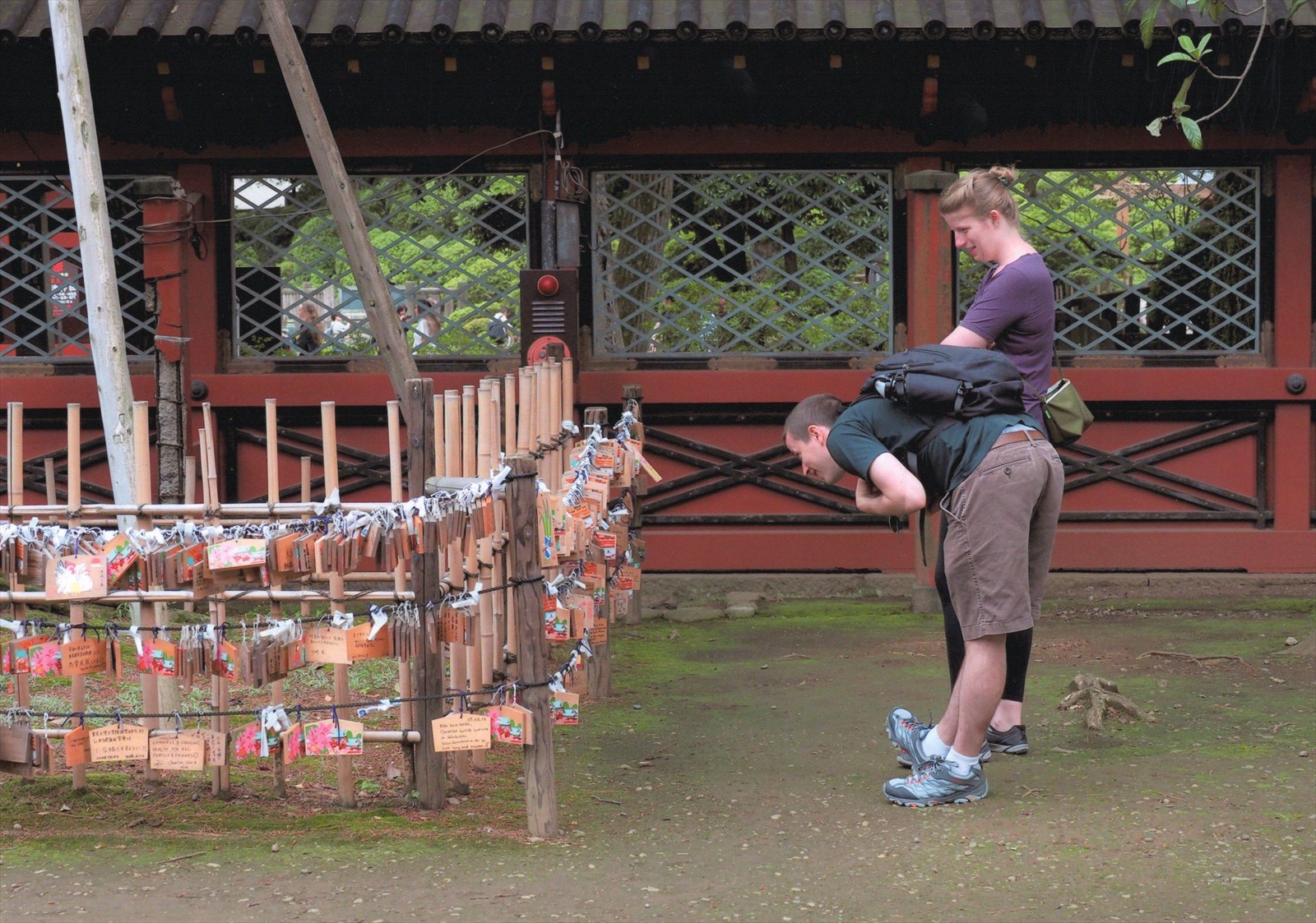 入賞写真