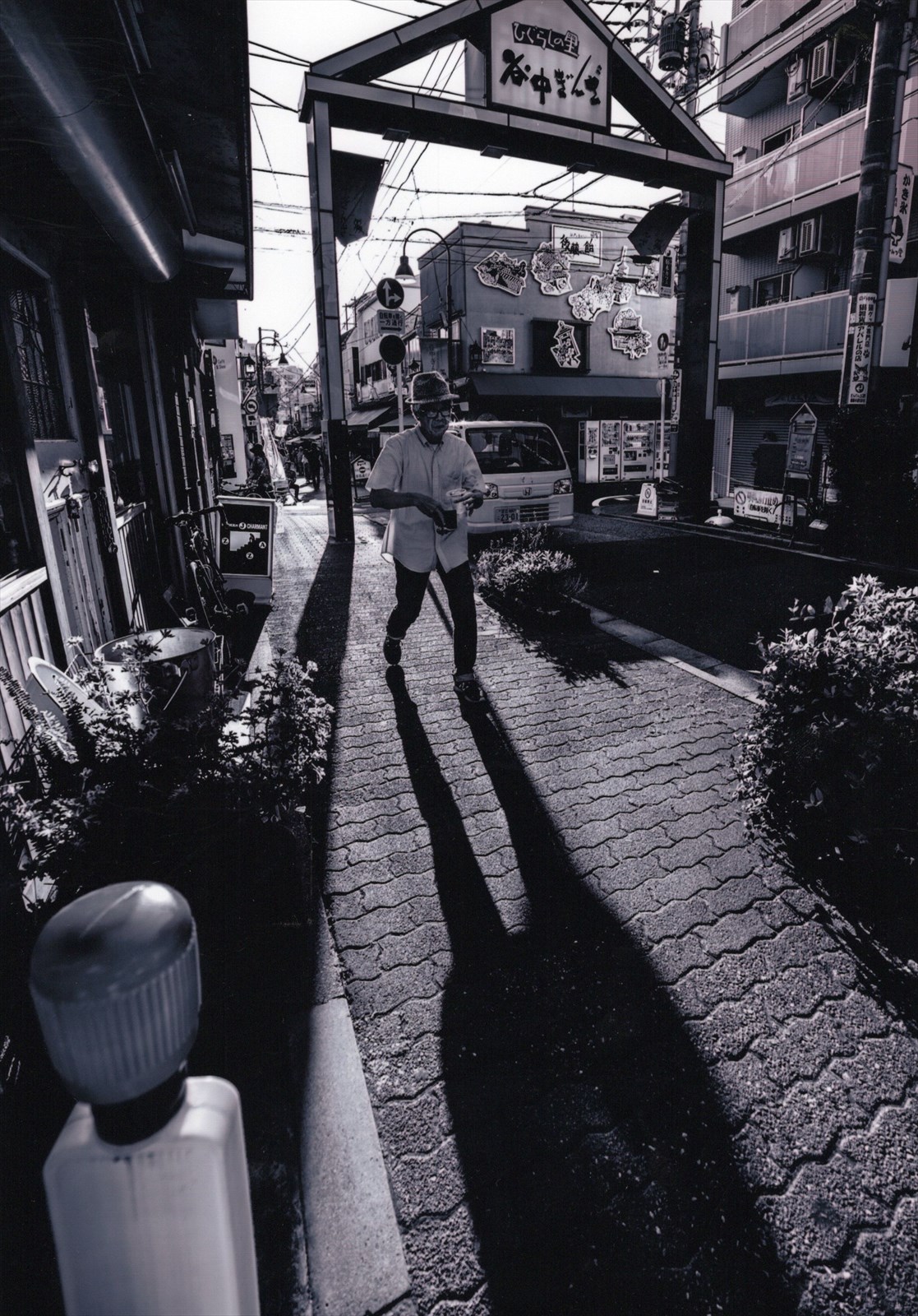入賞写真