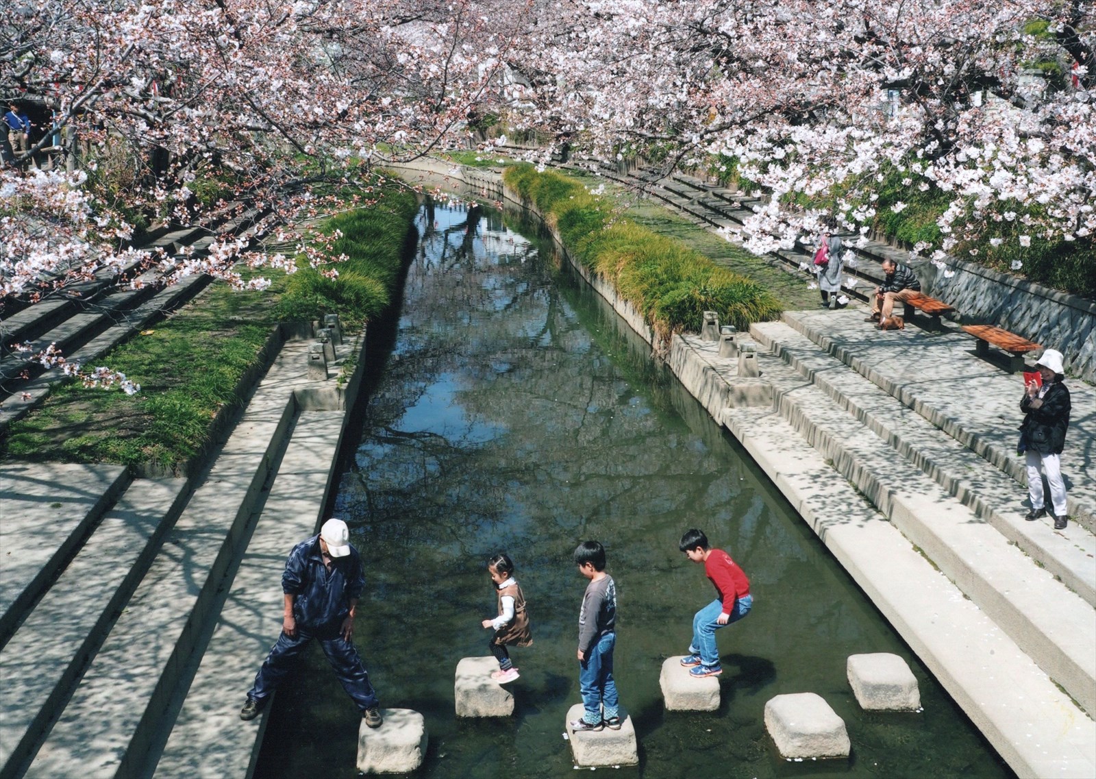 入賞写真