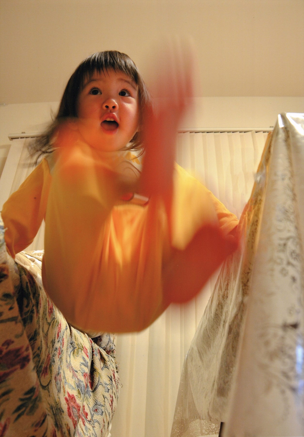 入賞写真