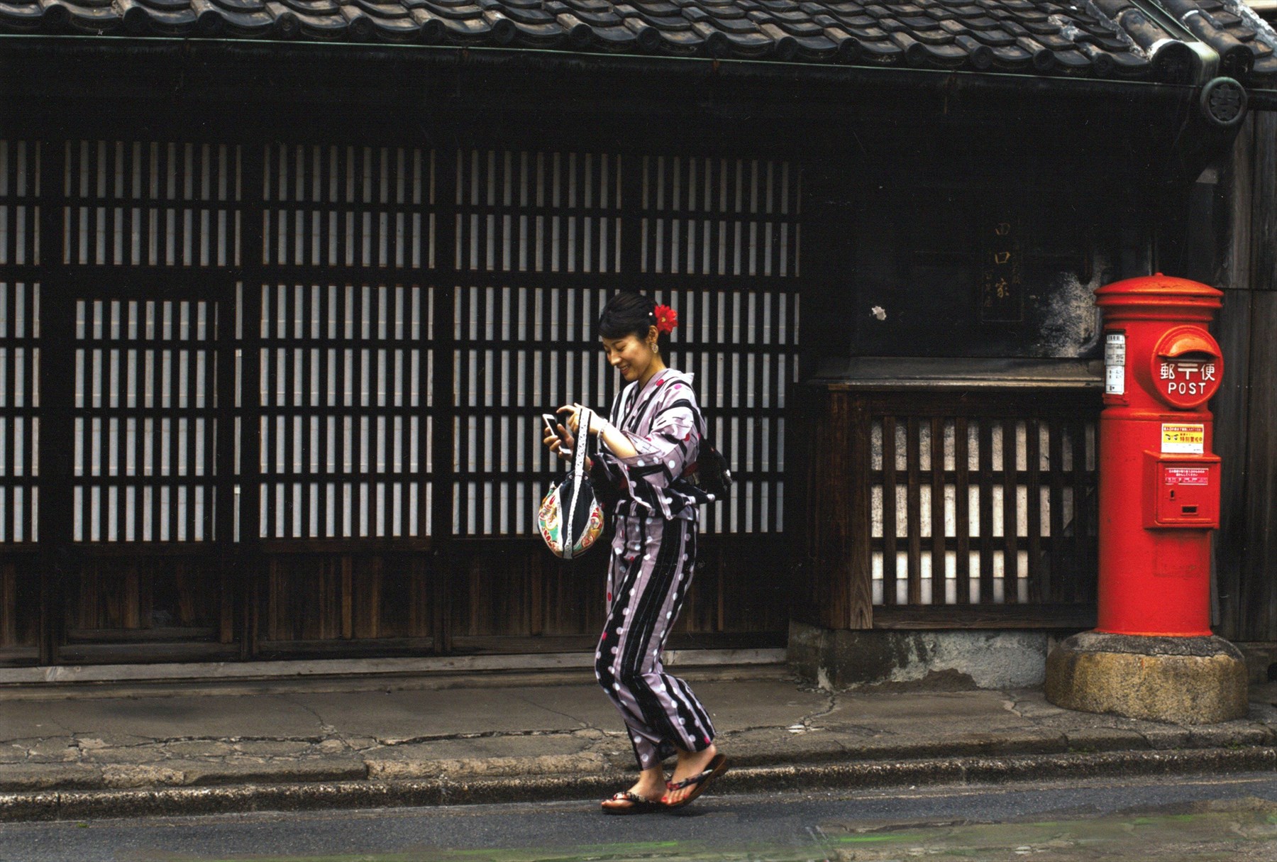 入賞写真