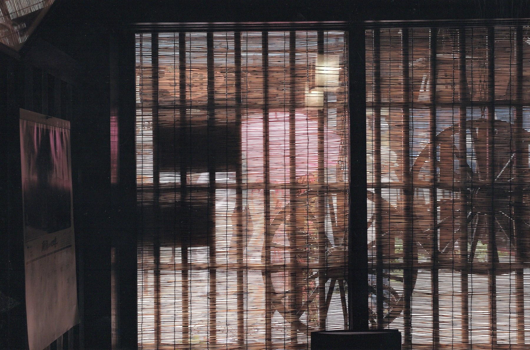 入賞写真