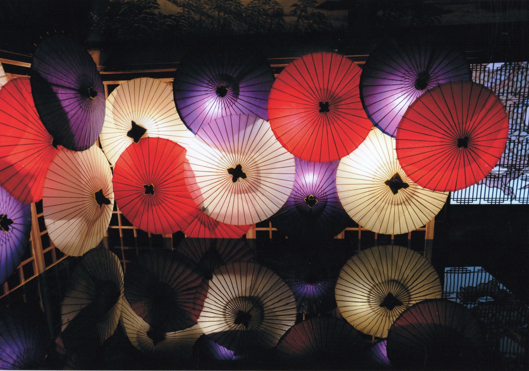 入賞写真