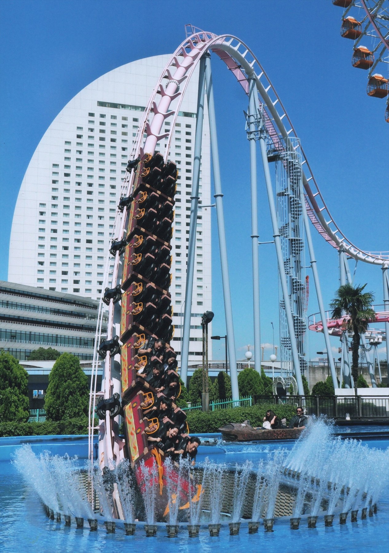 入賞写真
