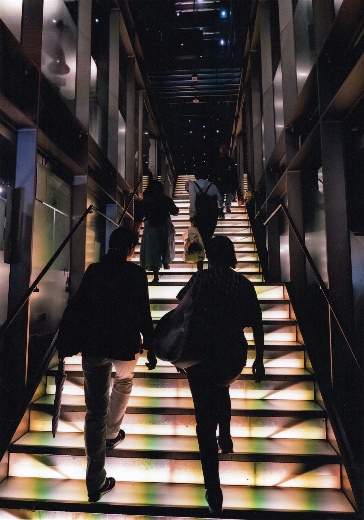入賞写真