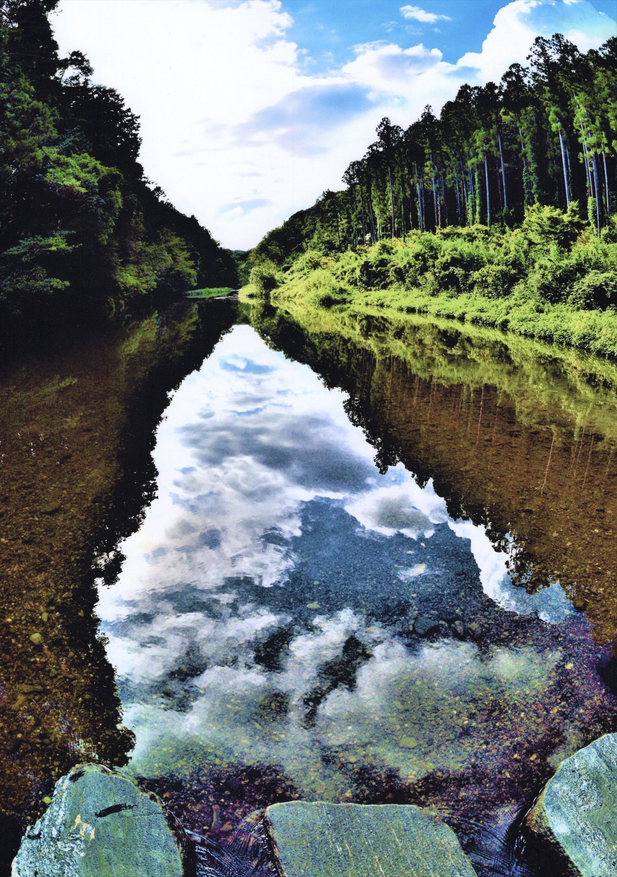入賞写真