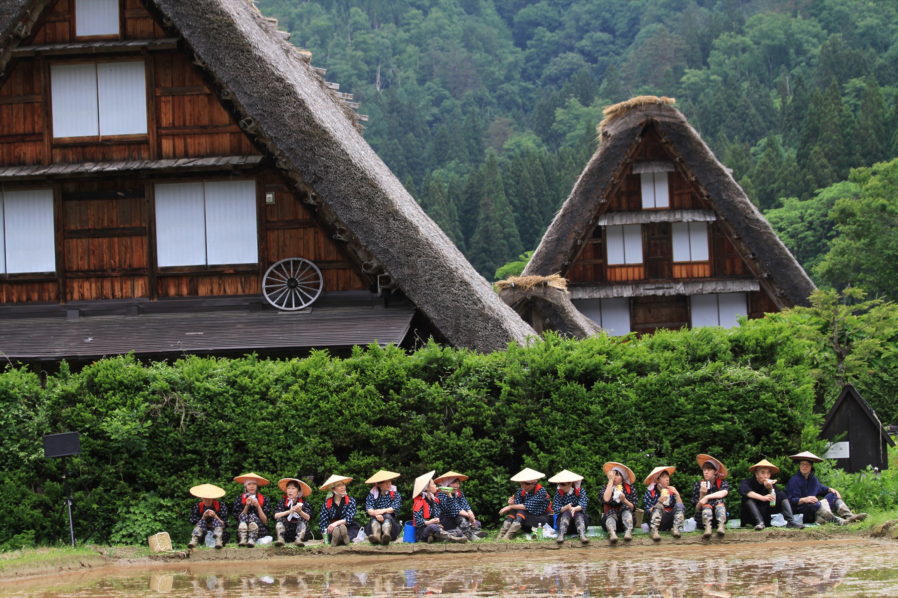 入賞写真"