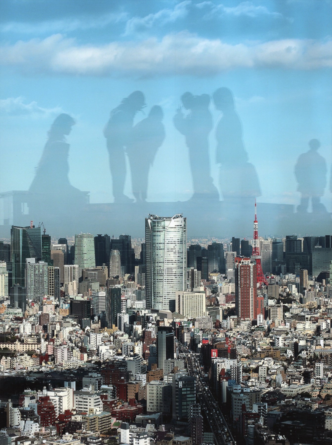 入賞写真