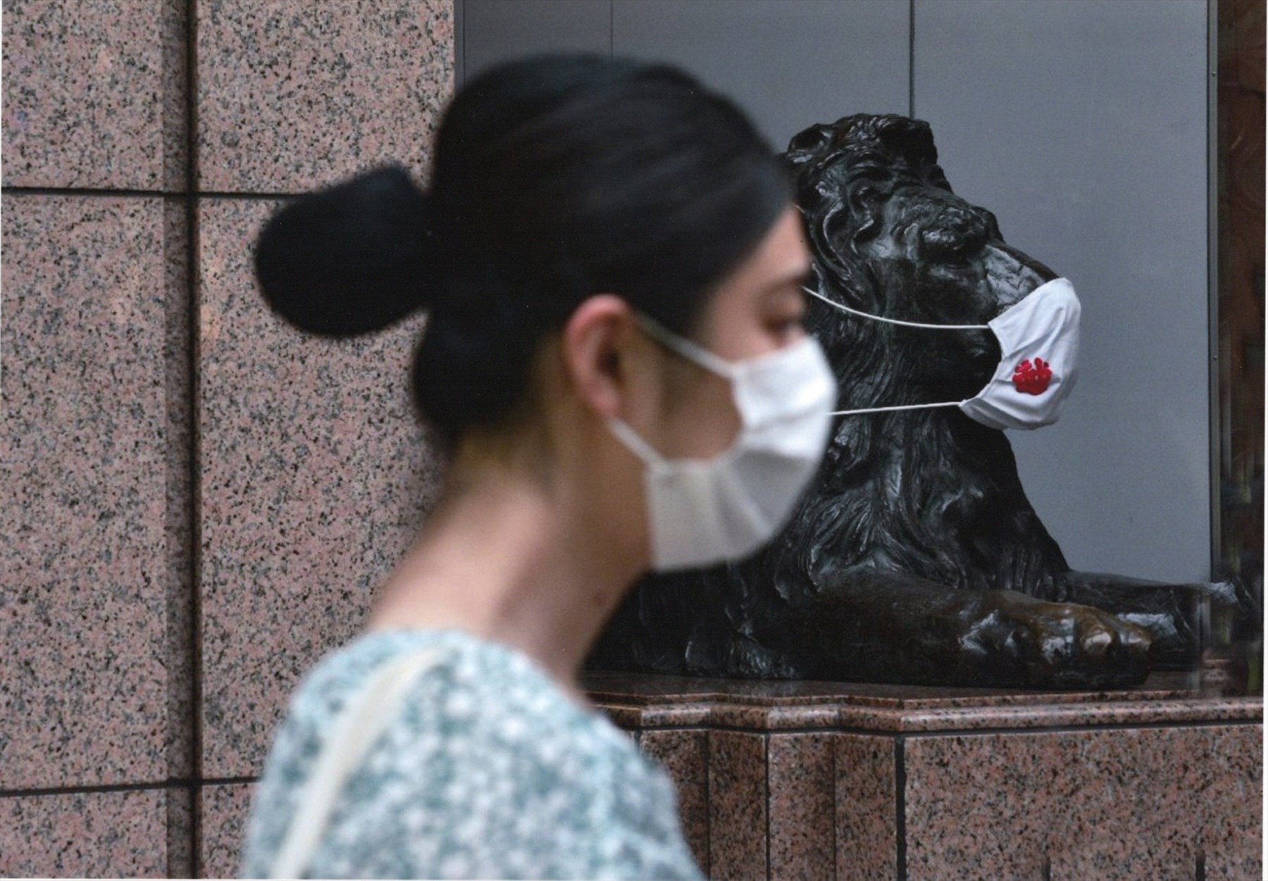 入賞写真