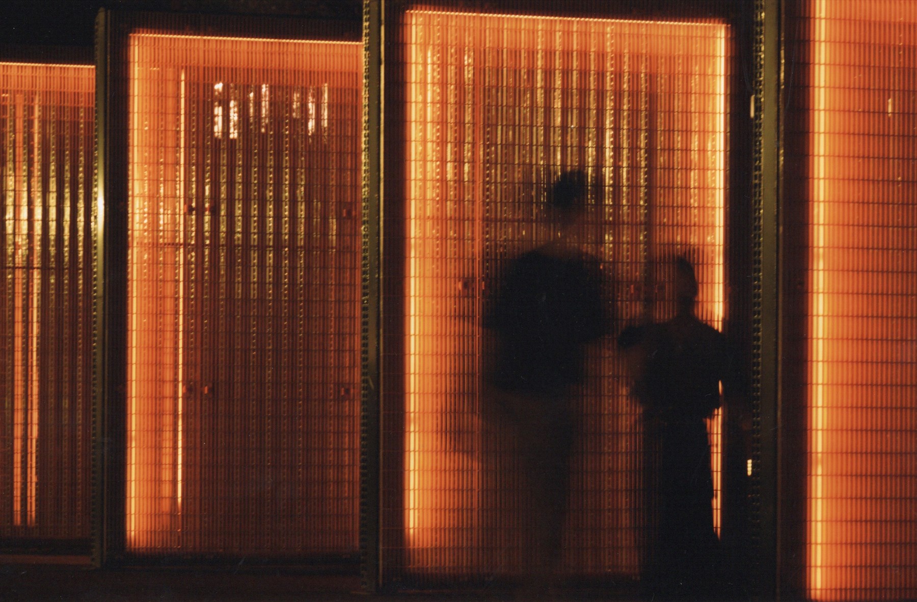 入賞写真