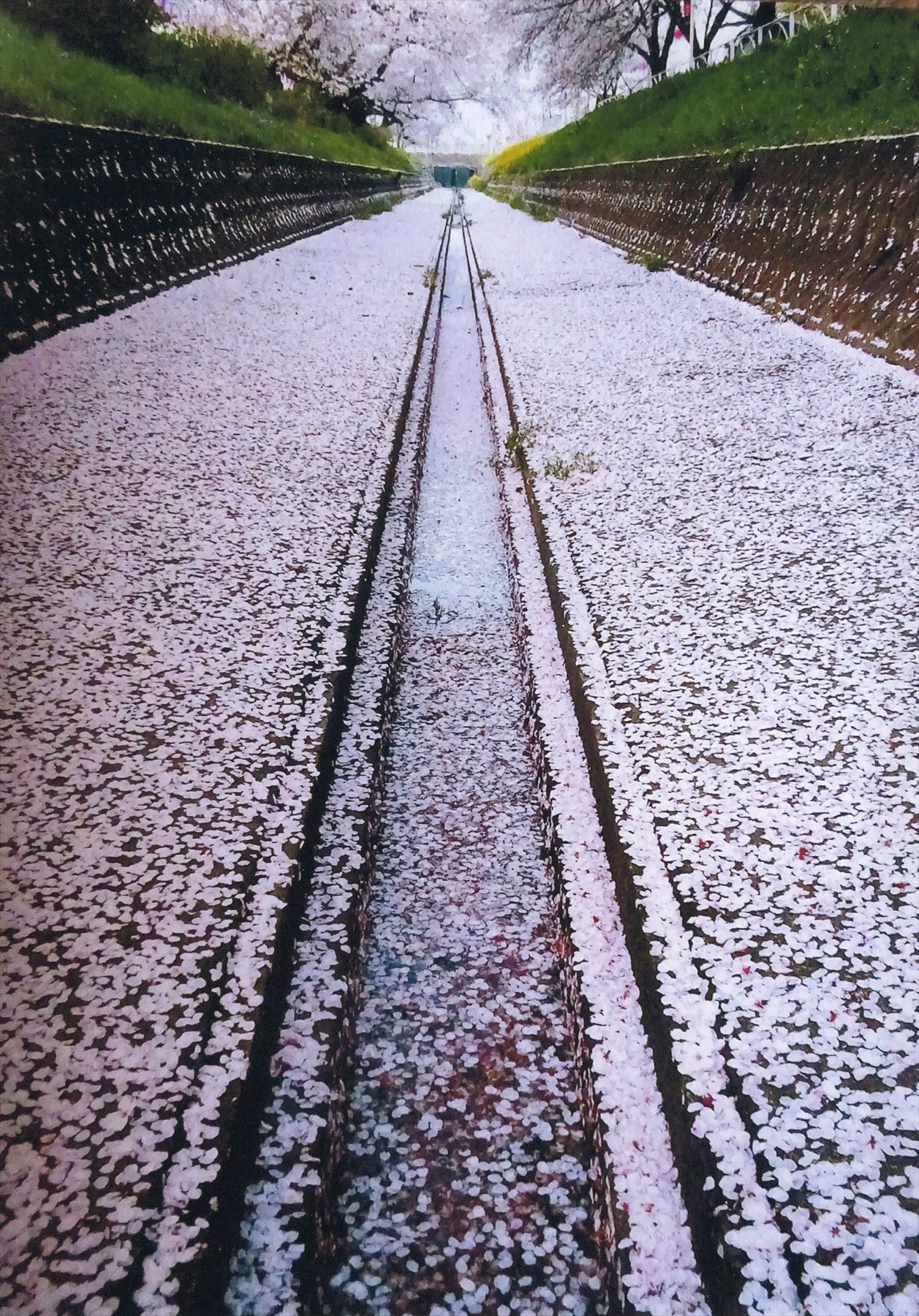 入賞写真