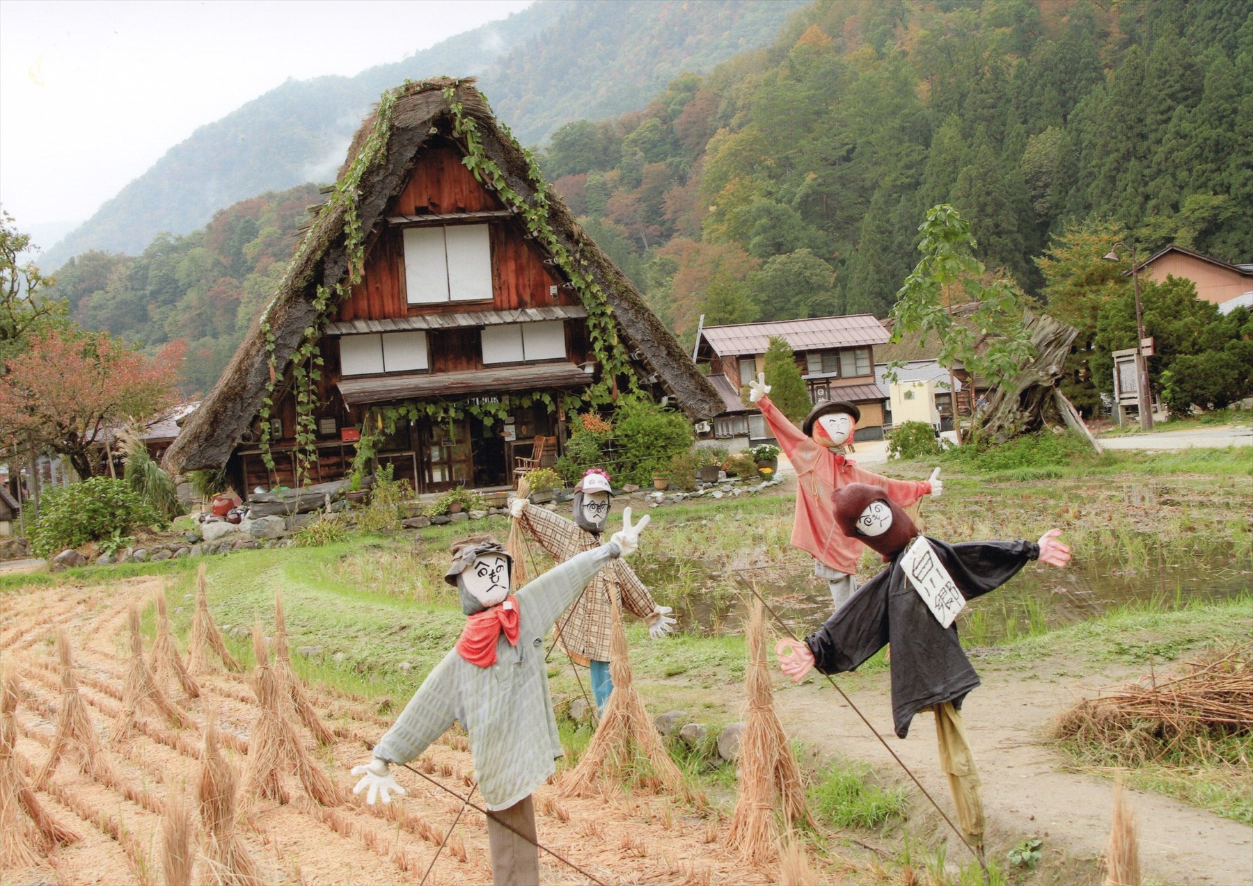 入賞写真
