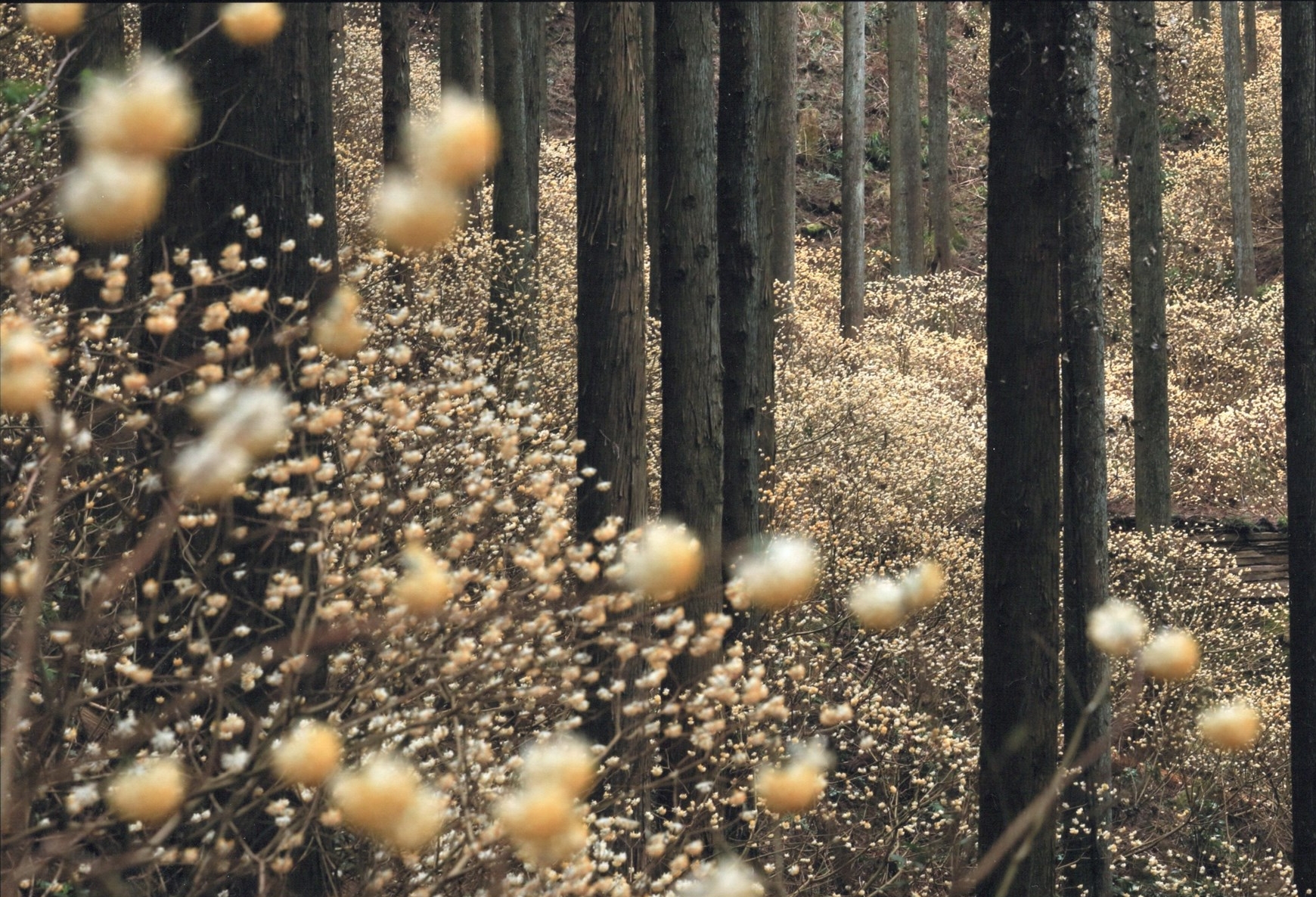 入賞写真