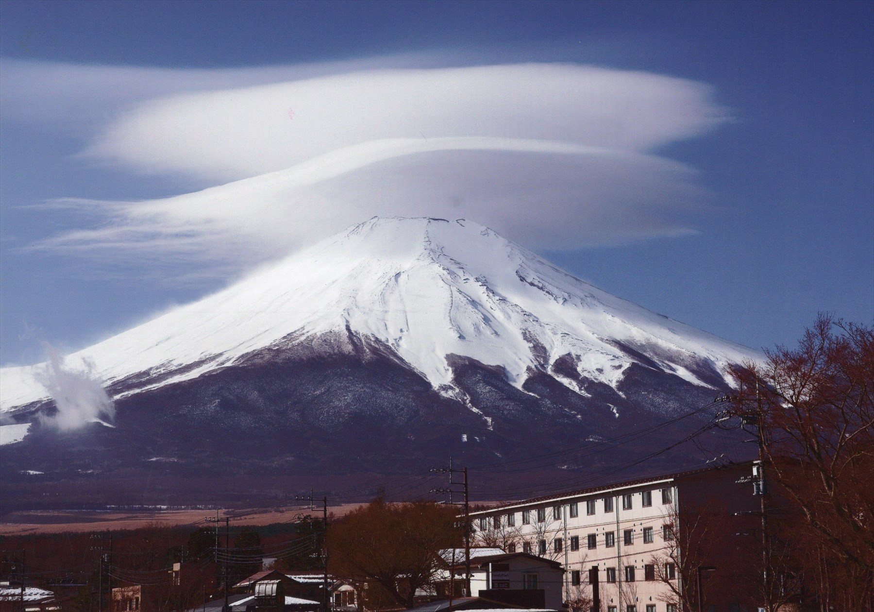 入賞写真
