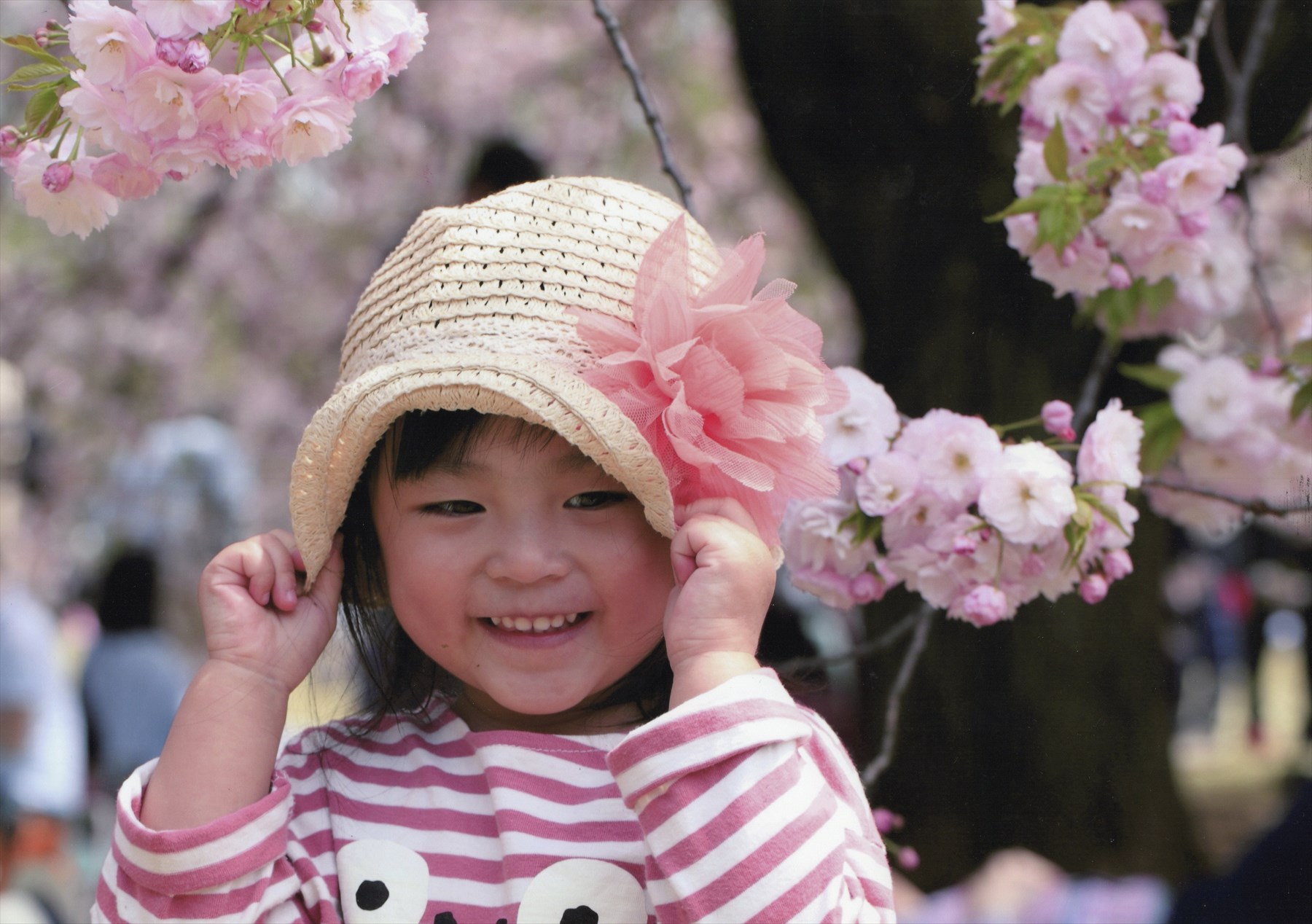 入賞写真
