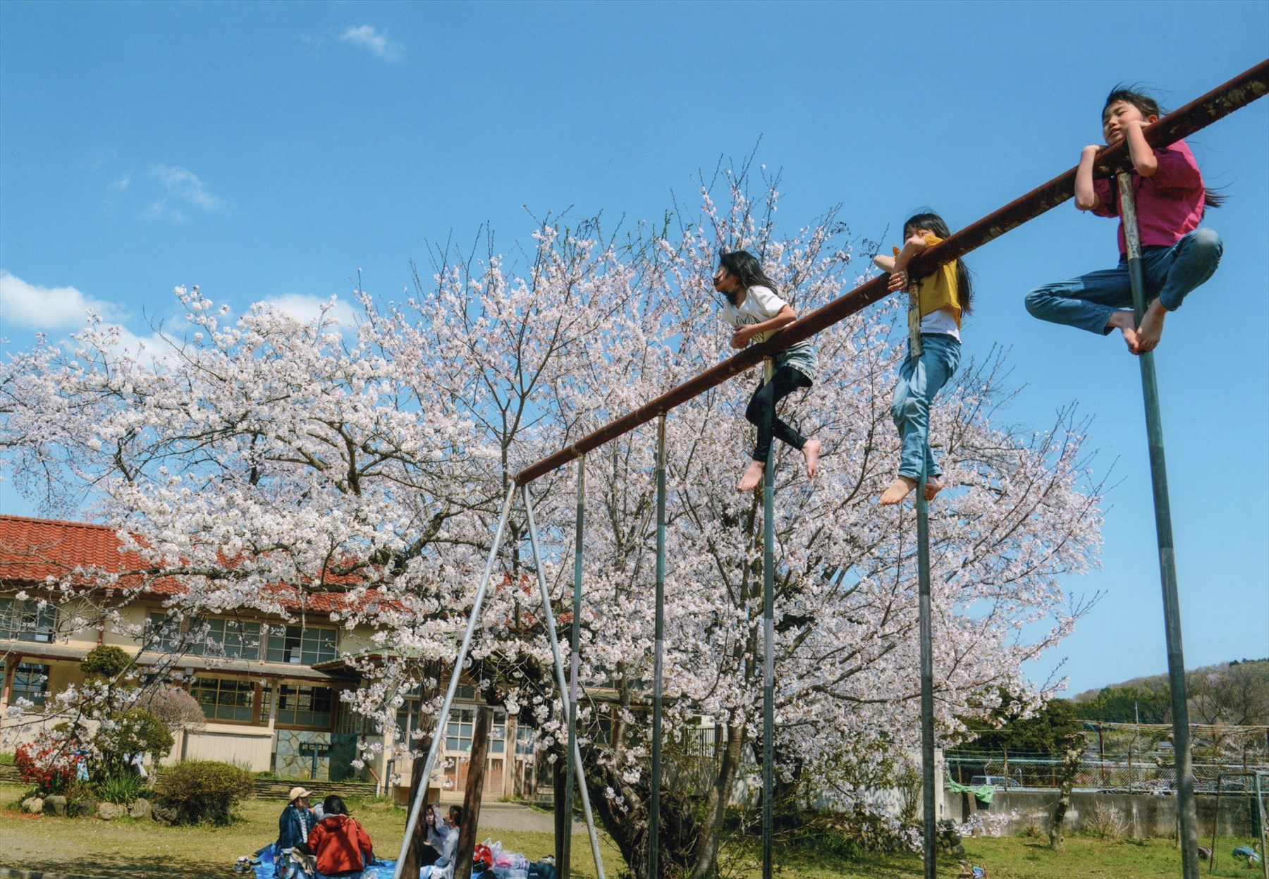 入賞写真