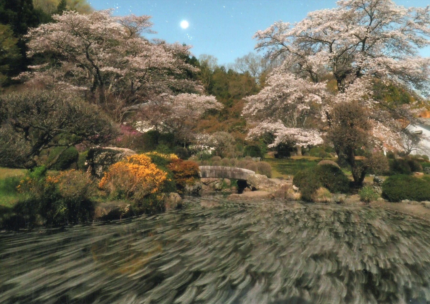入賞写真