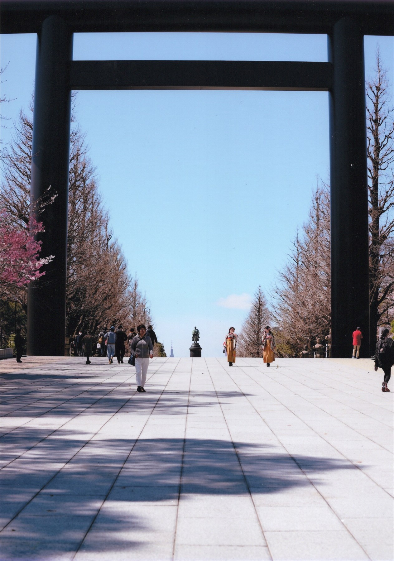 入賞写真
