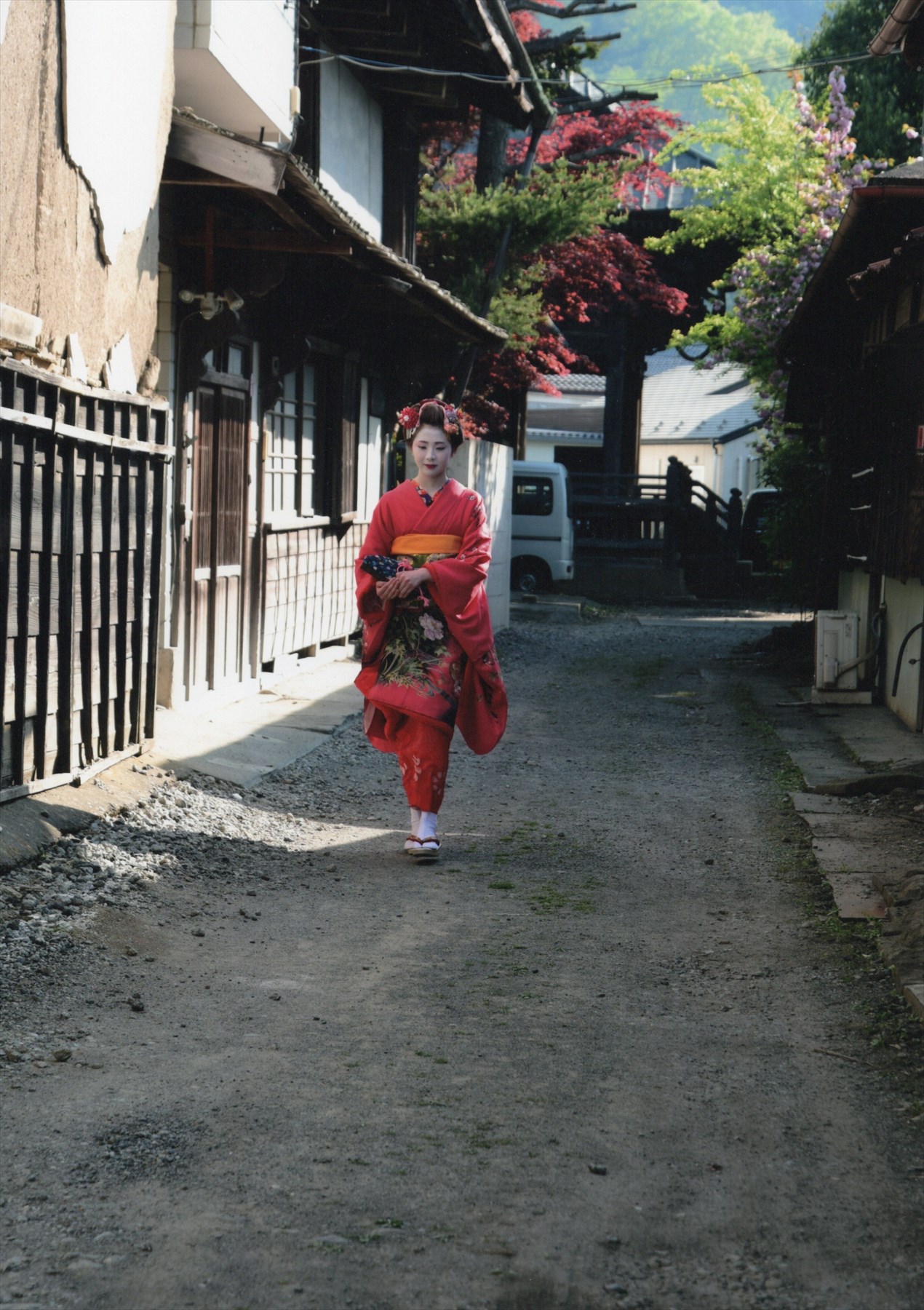 入賞写真