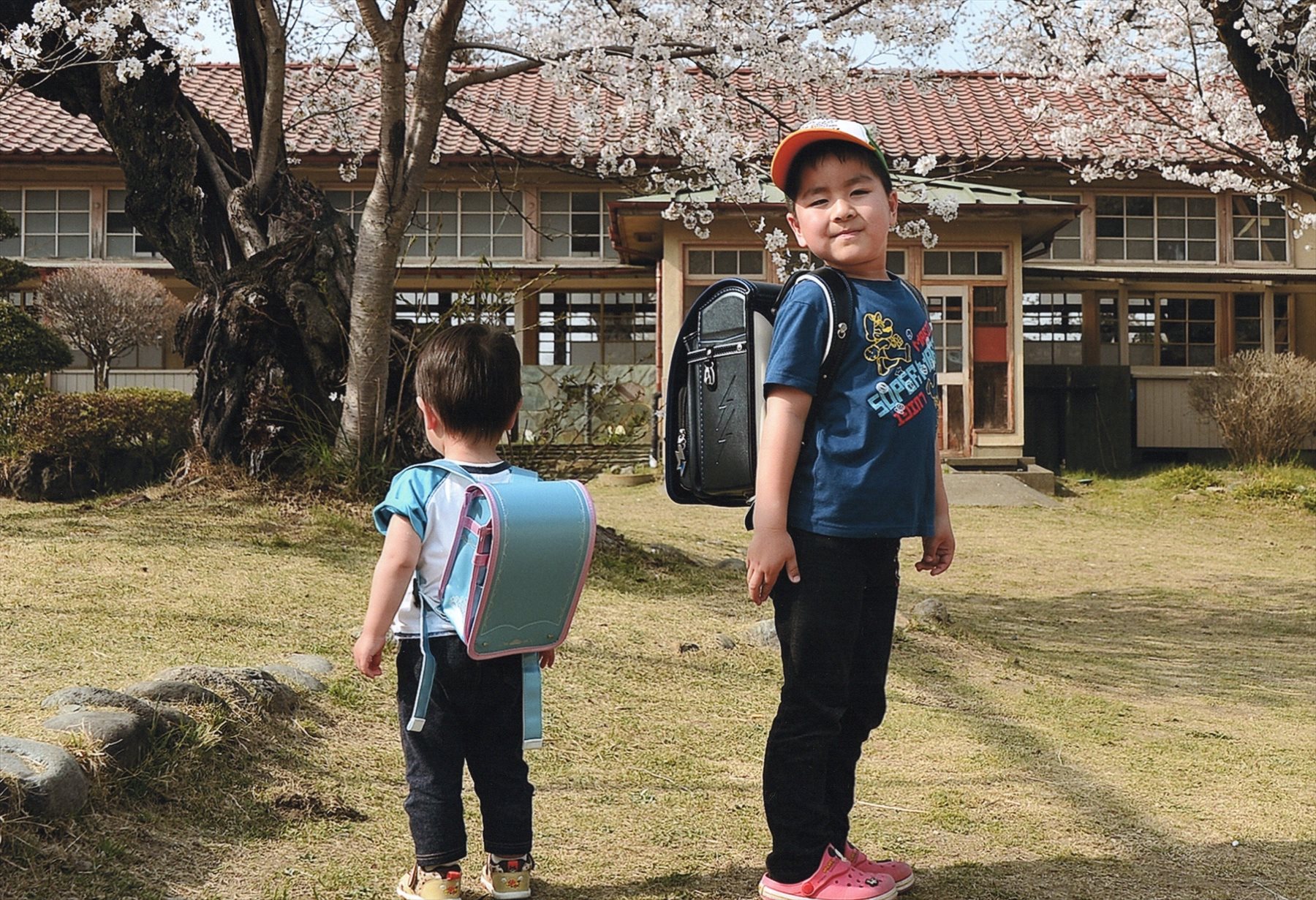 入賞写真