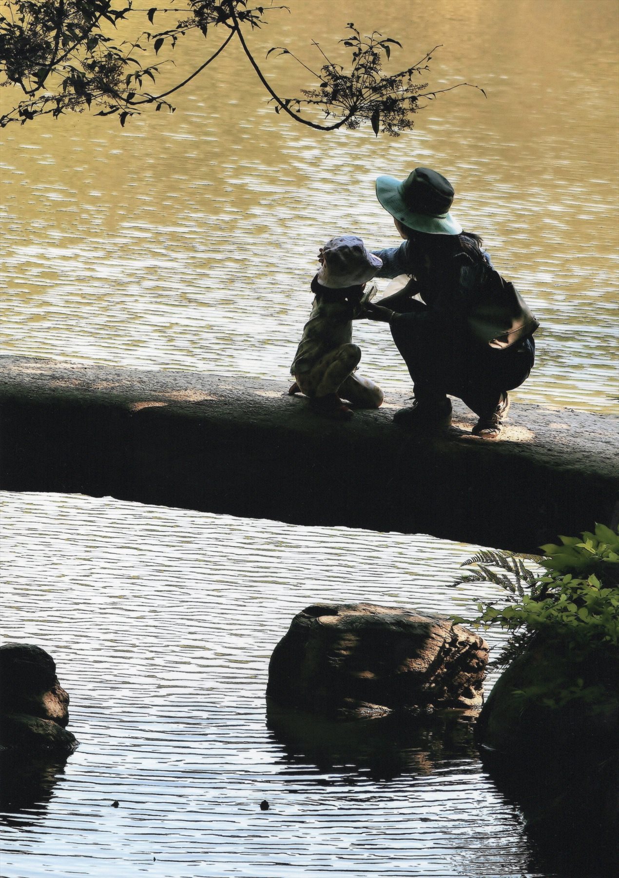 入賞写真