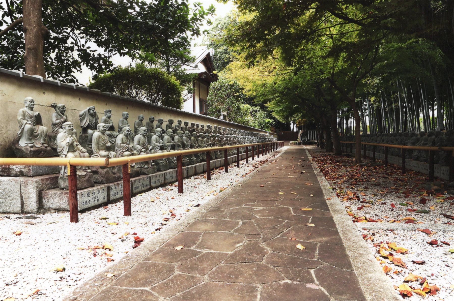 入賞写真