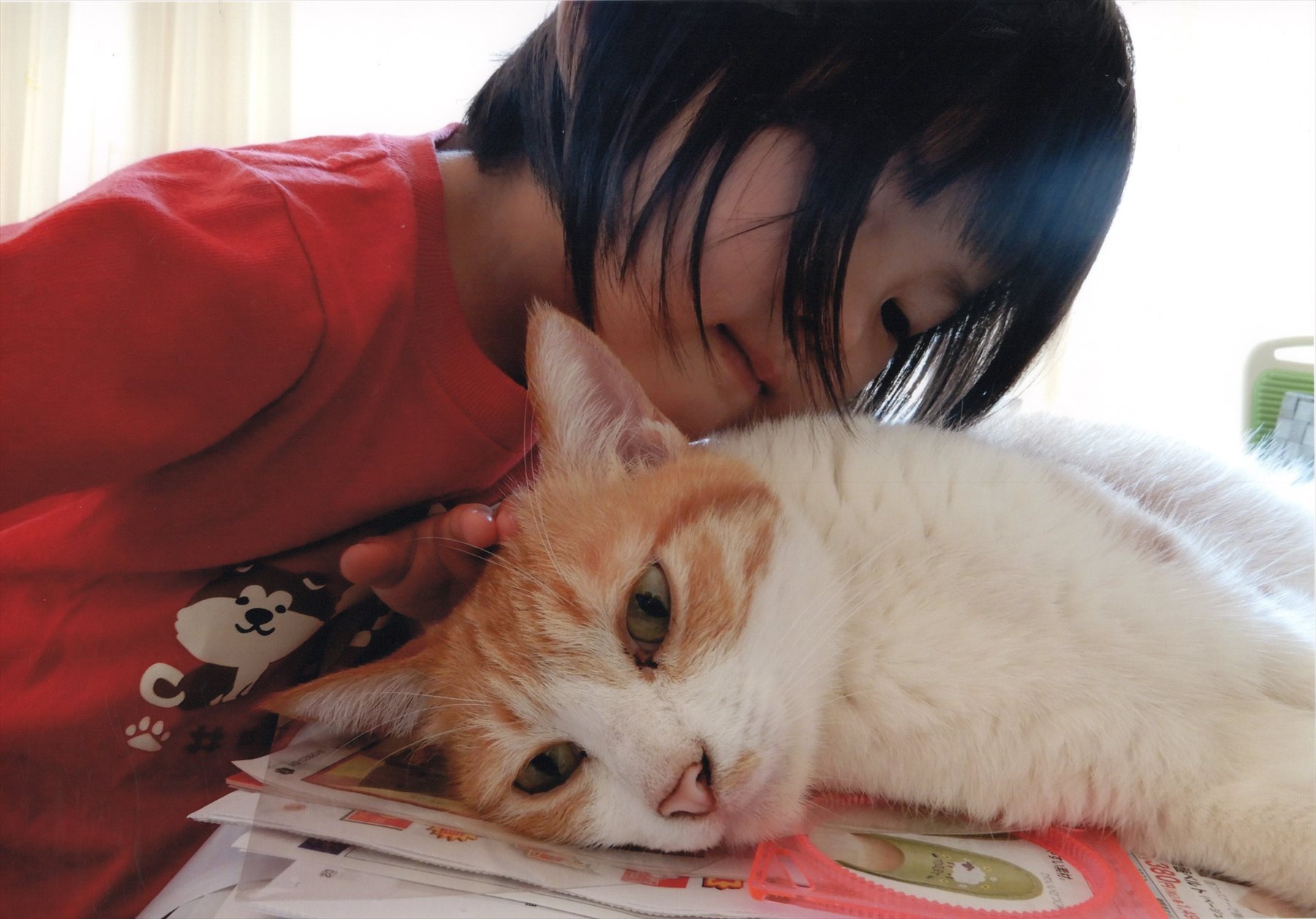 入賞写真