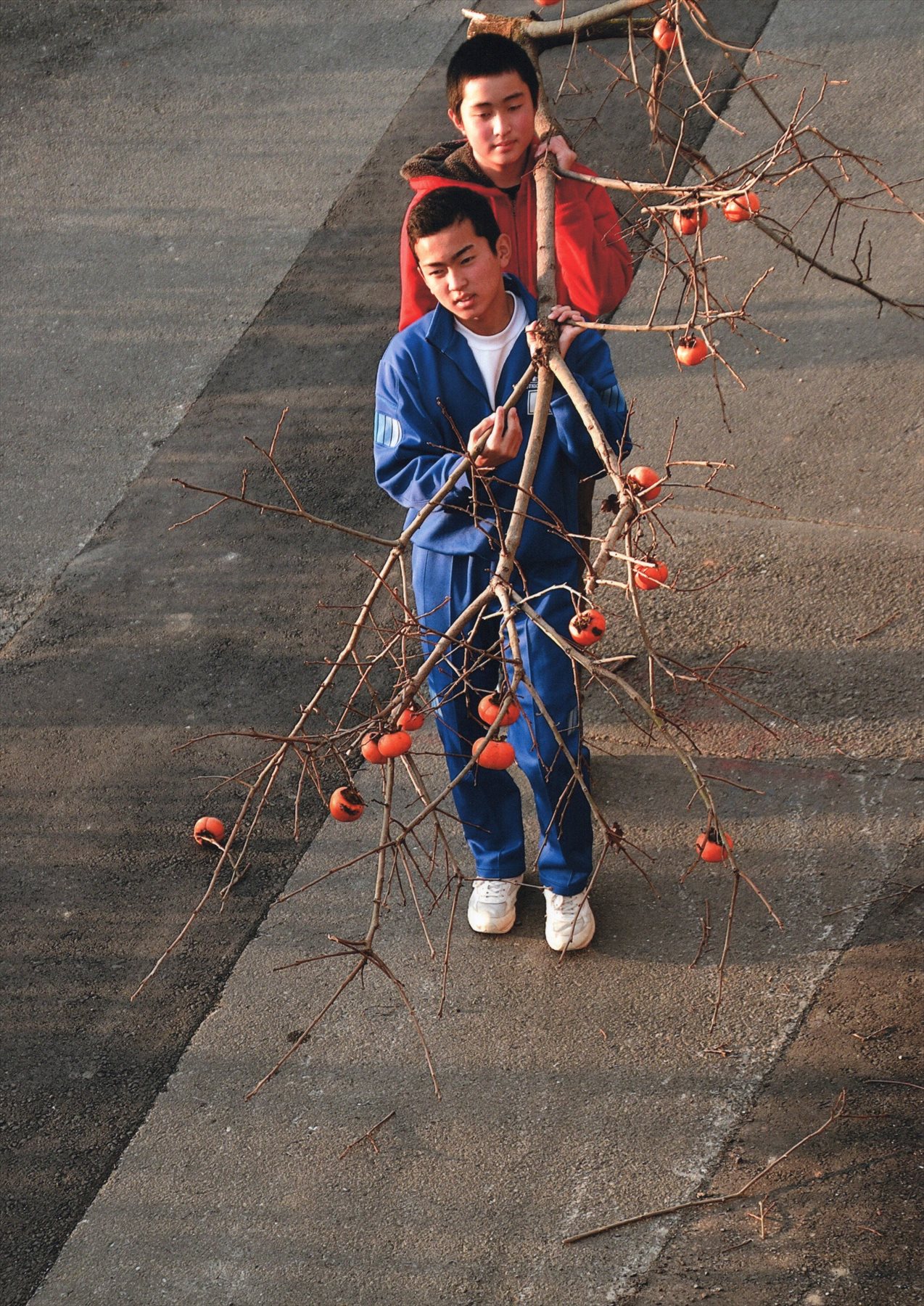 入賞写真