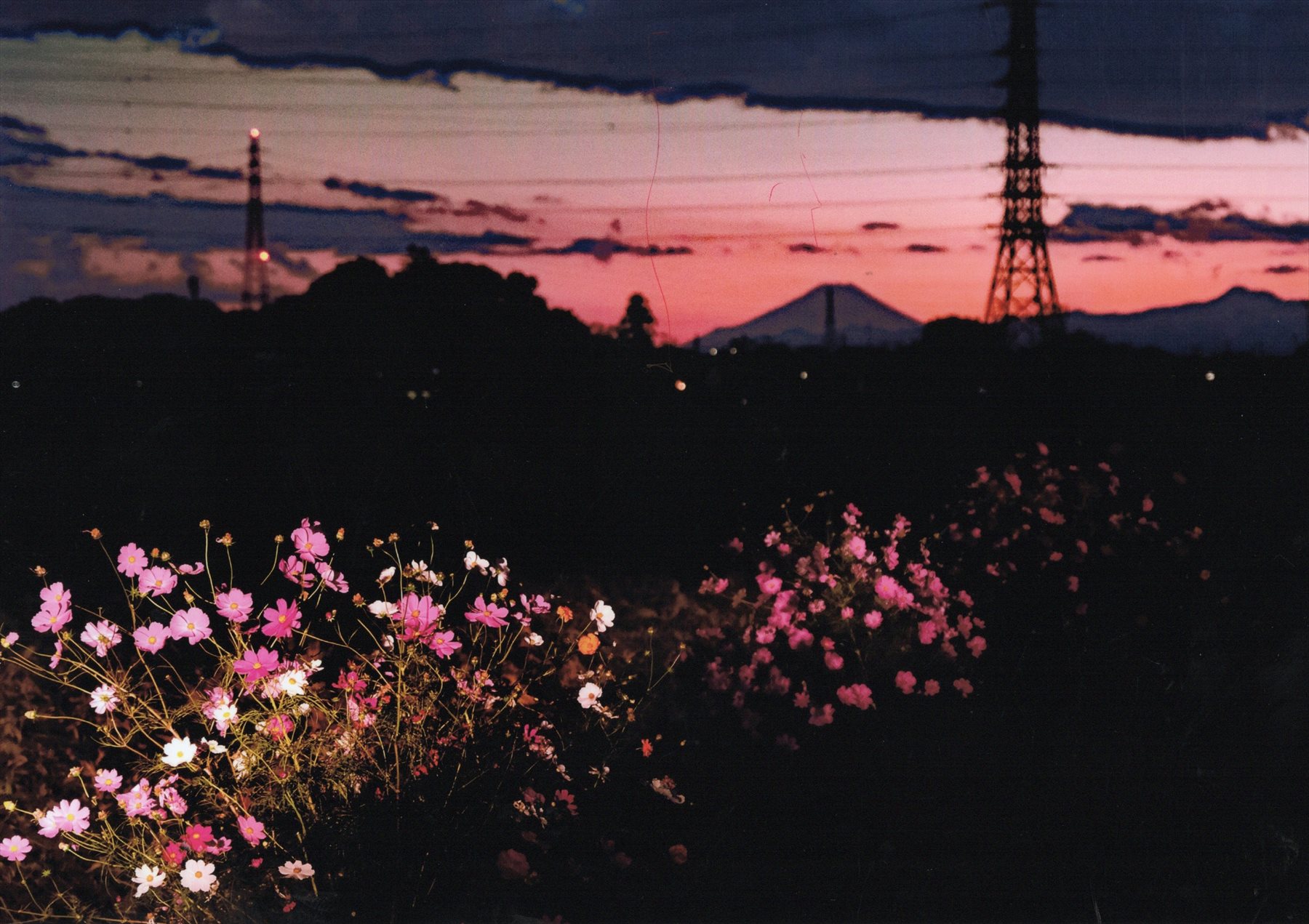 入賞写真