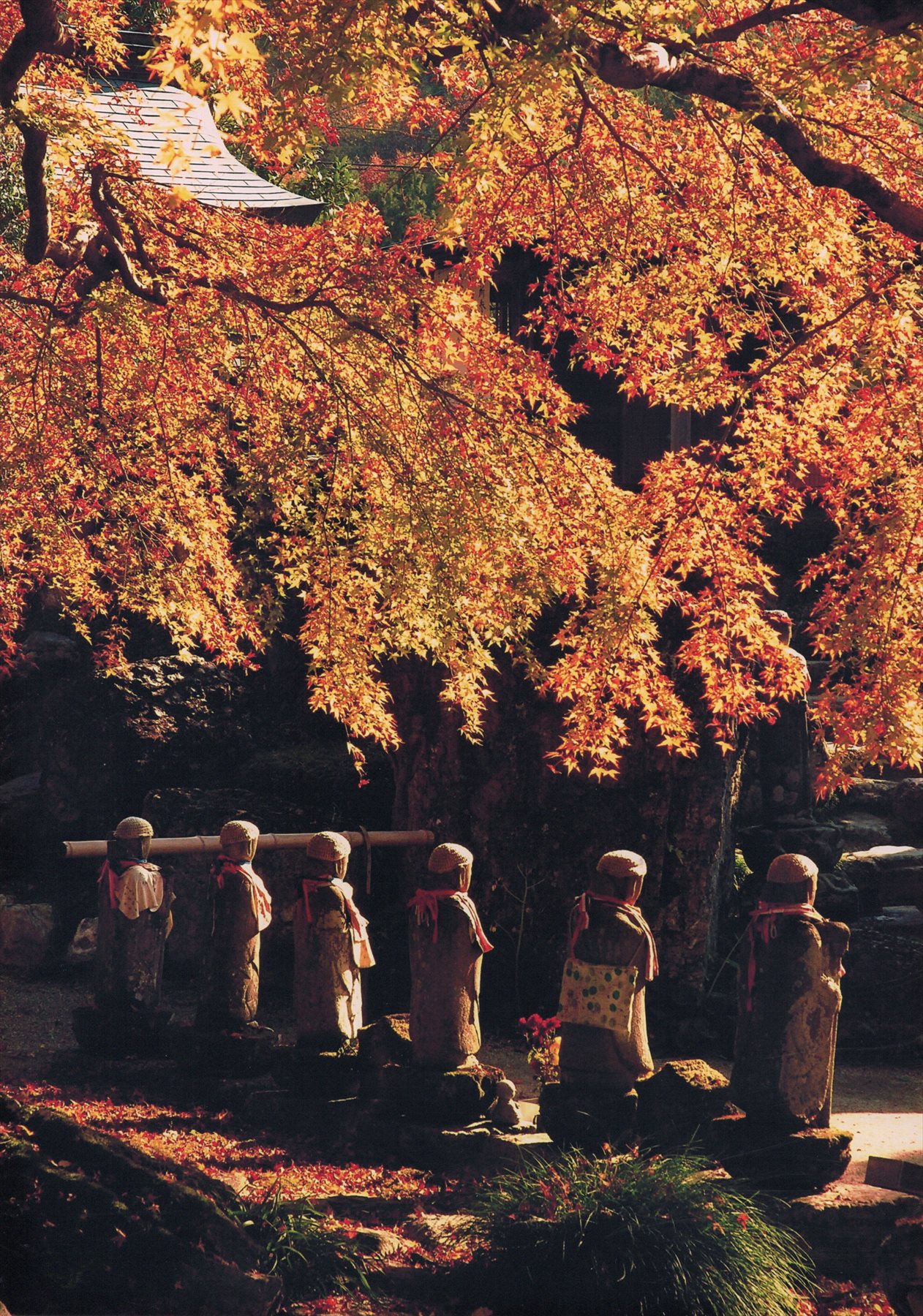 入賞写真