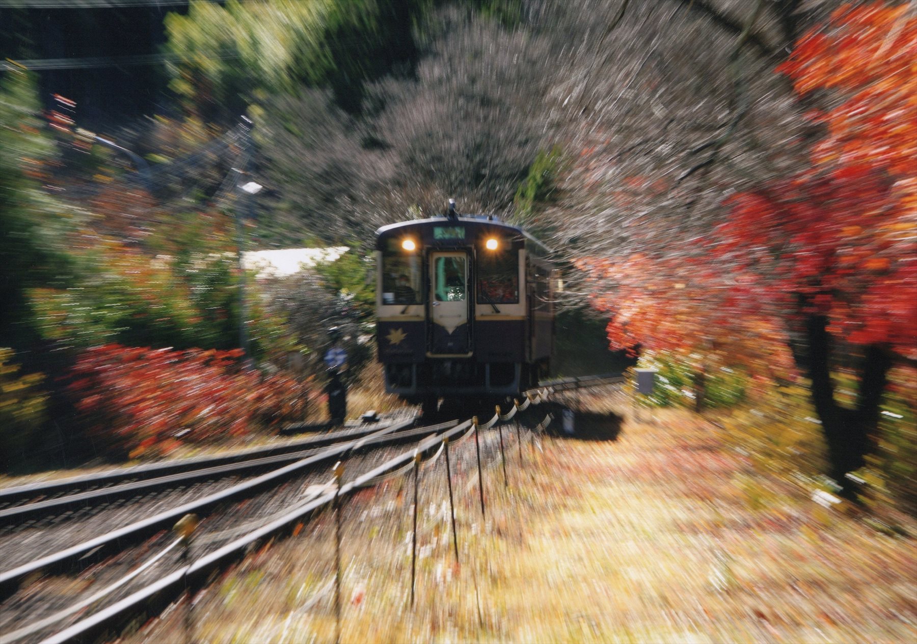 入賞写真