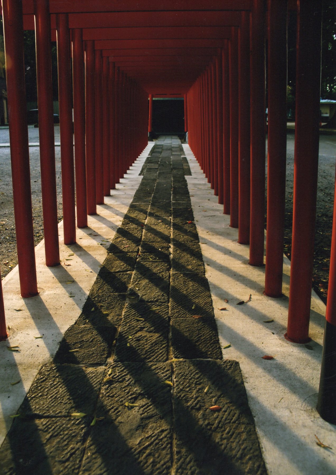 入賞写真