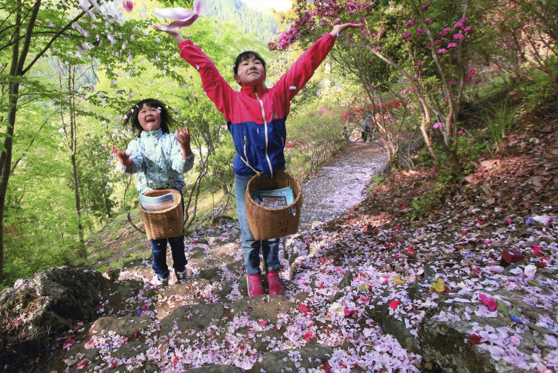 入賞写真
