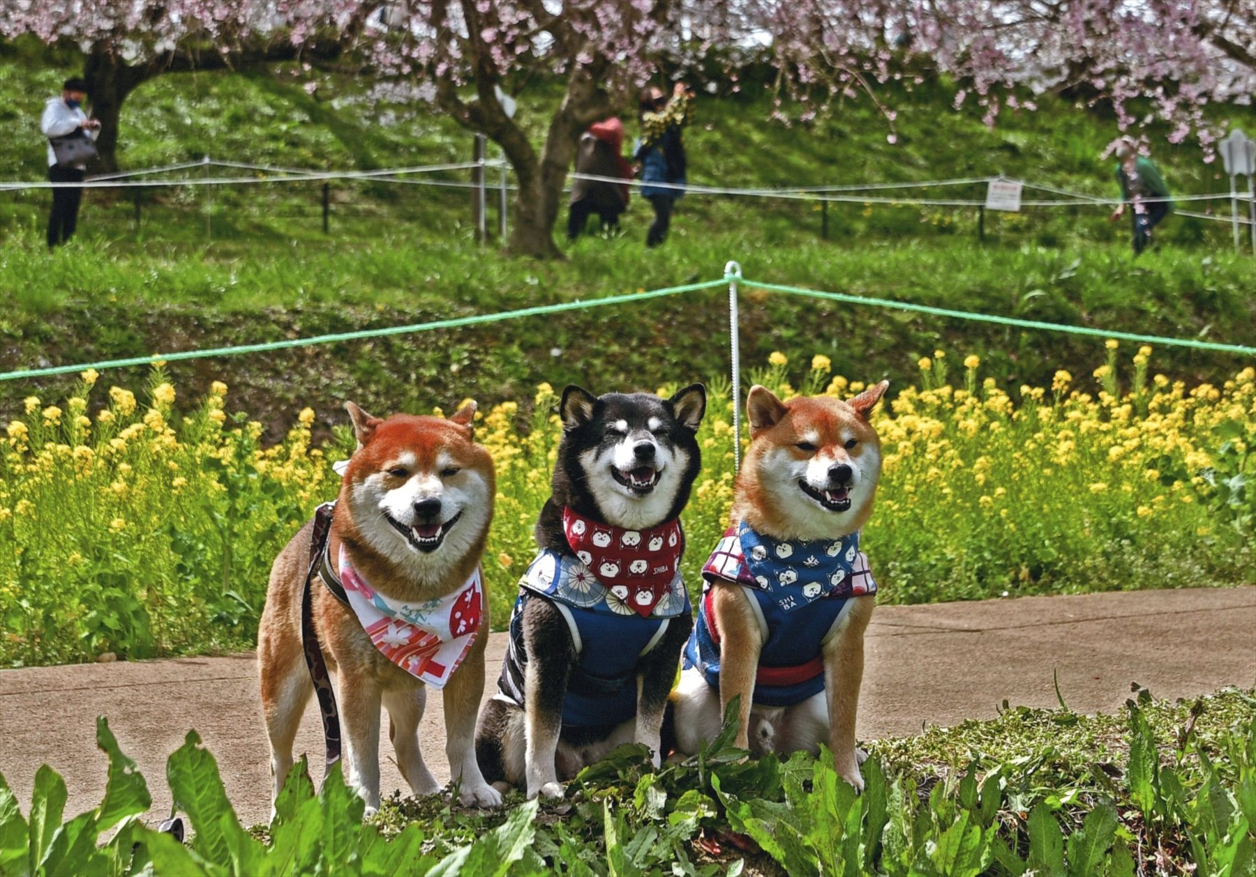 入賞写真