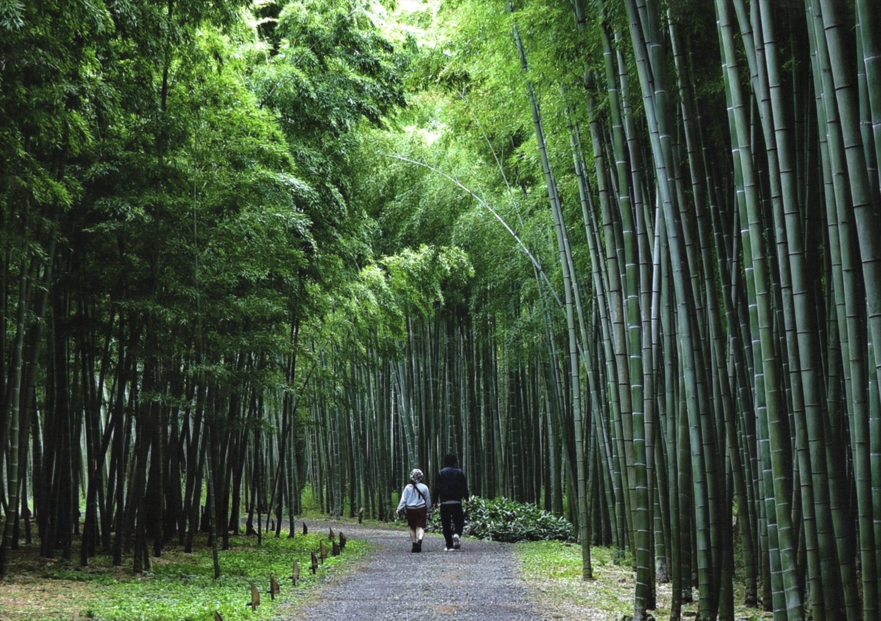 入賞写真
