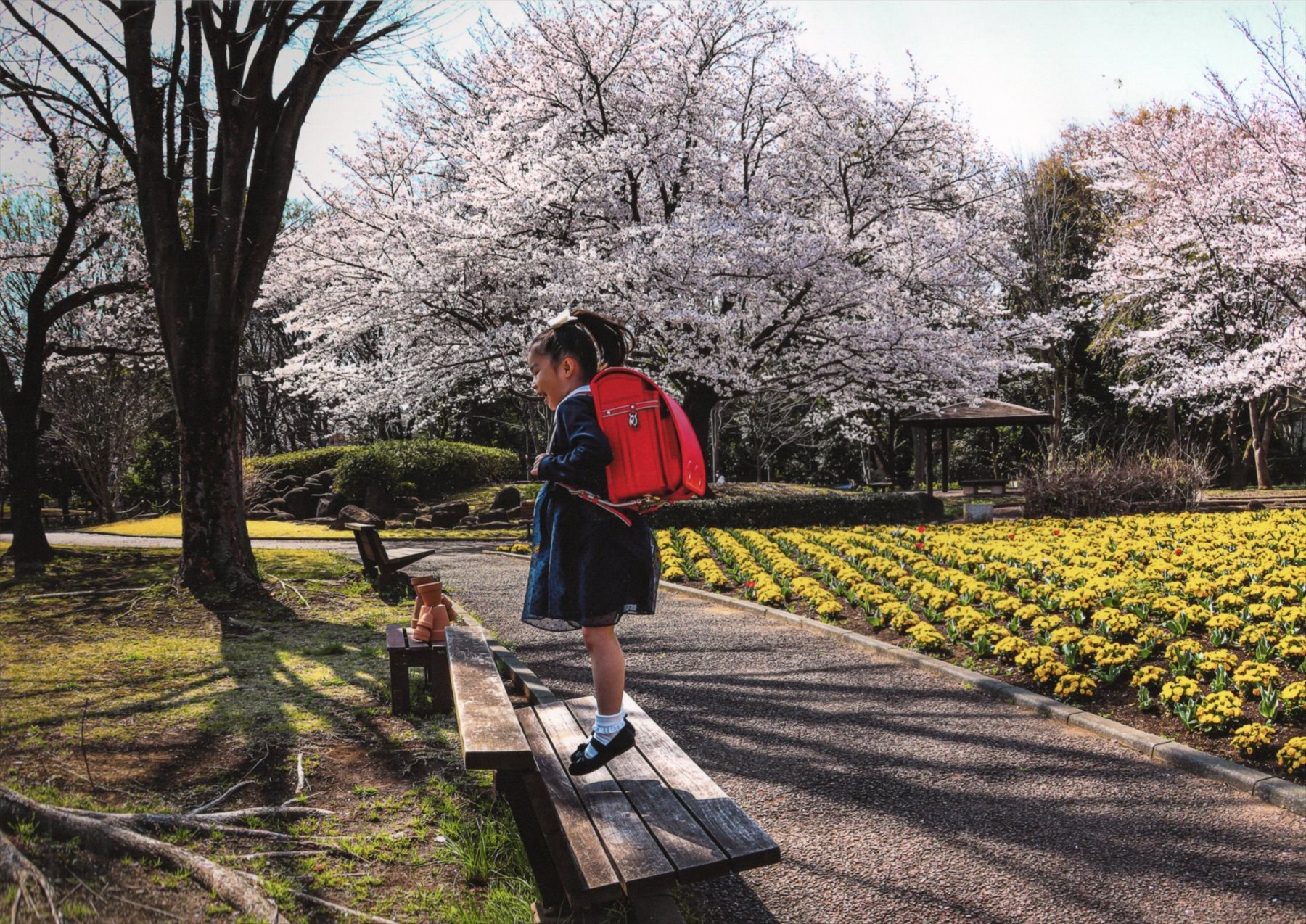 入賞写真