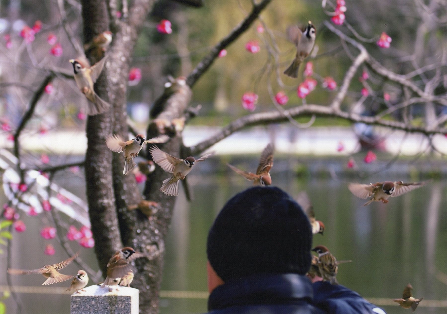 入賞写真