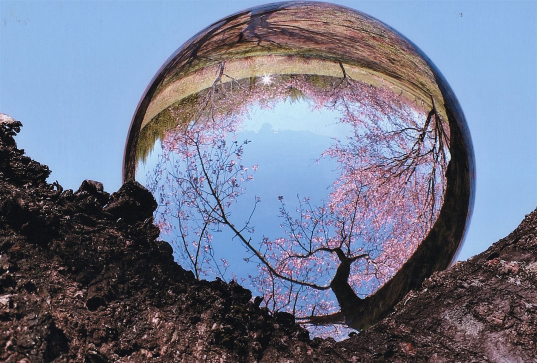 入賞写真